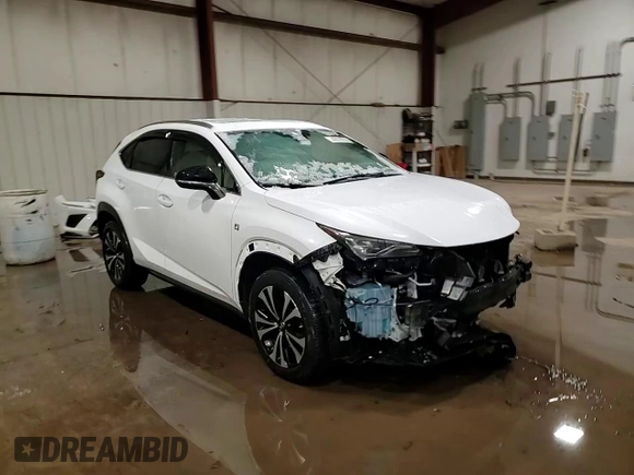 2021 Lexus NX with VIN JTJSARDZ0M2262613, listed as a Copart auction lot 43578935 with 45,182 mi miles and Salvage Title. Bid and sale history available at carsss.com. Image 15.
