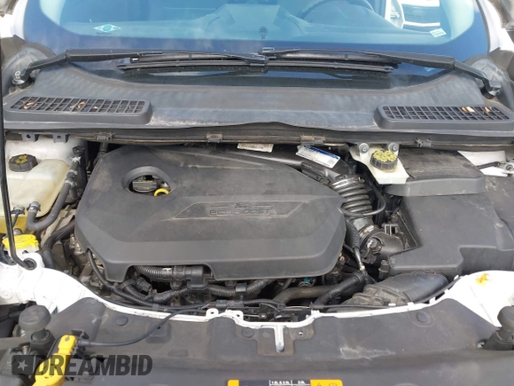 2014 Ford Escape SE with VIN 1FMCU0GX2EUA02753, listed as a IAAI auction lot 42191334 with 205,289 mi miles. Bid and sale history available at carsss.com. Image 10.