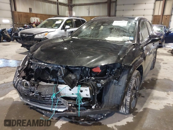 2025 Lexus UX with VIN JTHUCJDH8S2003698, listed as a IAAI auction lot 41368424 with 1,111 mi miles. Bid and sale history available at carsss.com. Image 6.