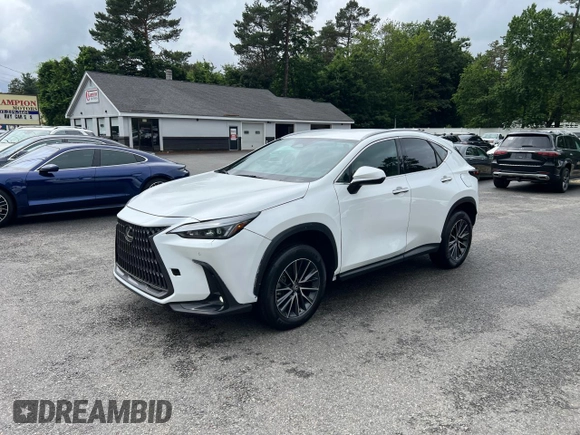 2022 Lexus NX 250 with VIN 2T2ADCAZ0NC001827, listed as a Copart auction lot 61865755 with 18,444 mi miles and Clean title. Bid and sale history available at DreamBid. Image 2.
