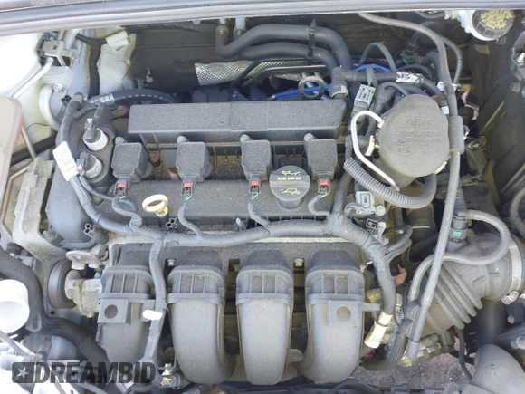 2014 Ford Focus SE with VIN 1FADP3F21EL119923, listed as a IAAI auction lot 41585170 with 126,266 mi miles. Bid and sale history available at carsss.com. Image 10.