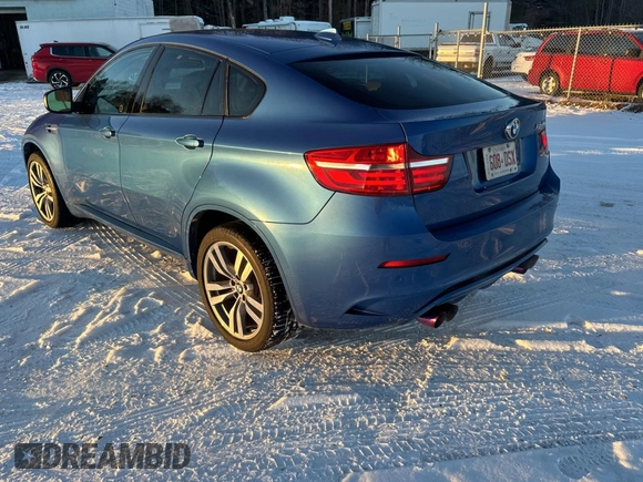 2013 BMW X6 M with VIN 5YMGZ0C57DLL29849, listed as a Copart auction lot 86665844 with 117,000 mi miles and Clean Title. Bid and sale history available at carsss.com. Image 3.