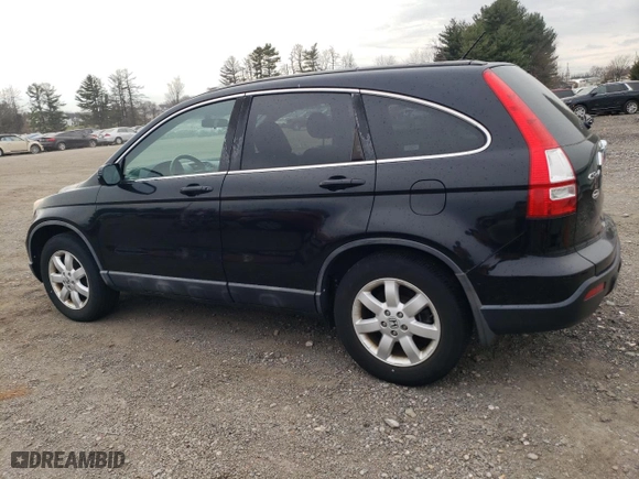 2009 Honda CR-V EX-L with VIN 5J6RE48729L012349, listed as a Copart auction lot 51188955 with 119,430 mi miles and Clean Title. Bid and sale history available at carsss.com. Image 2.