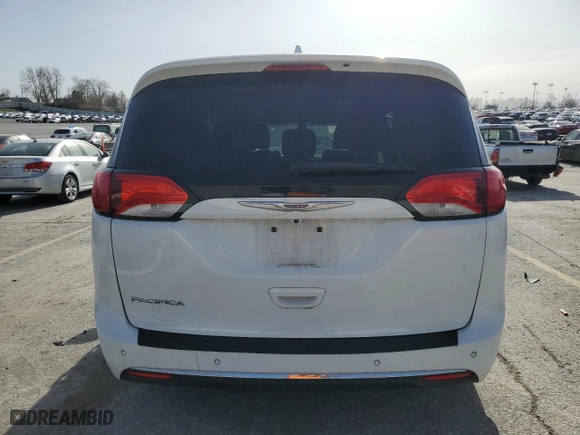 2018 Chrysler Pacifica Touring L with VIN 2C4RC1BG4JR211577, listed as a Copart auction lot 49808885 with 123,246 mi miles and Salvage Title. Bid and sale history available at carsss.com. Image 6.