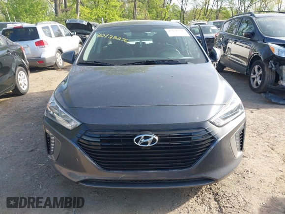 2017 Hyundai Ioniq SEL with VIN KMHC75LC5HU035029, listed as a IAAI auction lot 42128276 with 87,435 mi miles and . Bid and sale history available at DreamBid. Image 13.