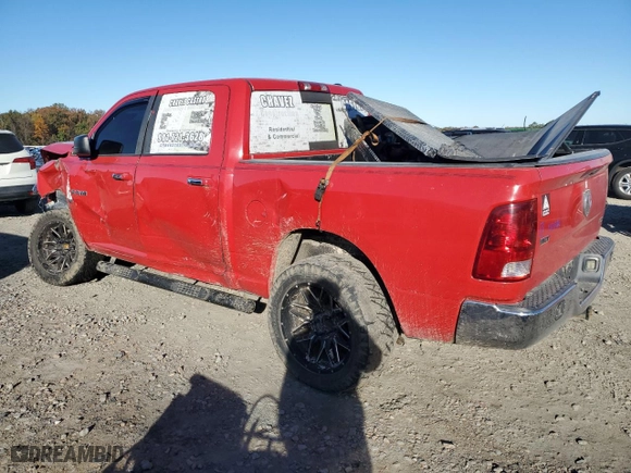 2010 Dodge Ram 1500 ST with VIN 1D7RB1CP2AS109409, listed as a Copart auction lot 81645644 with 0 mi miles and Salvage Title. Bid and sale history available at carsss.com. Image 2.