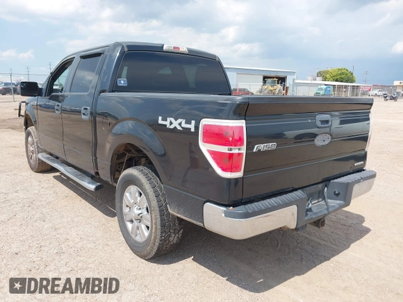 2011 Ford F-150 XL with VIN 1FTFW1EF8BFA04793, listed as a IAAI auction lot 42741542 with 259,843 mi miles and . Bid and sale history available at DreamBid. Image 3.