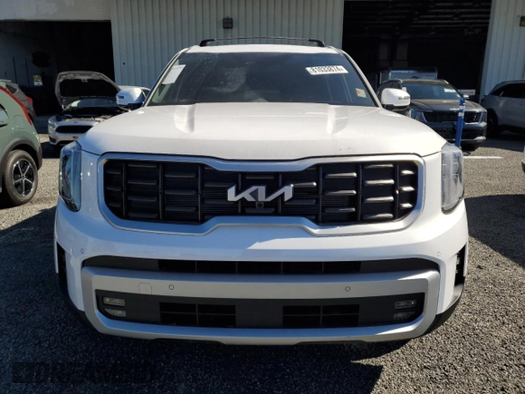 2024 Kia Telluride SX with VIN 5XYP54GC0RG552256, listed as a Copart auction lot 81033874 with Not provided miles and Salvage title. Bid and sale history available at DreamBid. Image 5.
