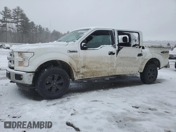 2017 Ford F-150 XL with VIN 1FTEW1EG0HFC21266, listed as a Copart auction lot 46624745 with 141,117 mi miles and Salvage Title. Bid and sale history available at carsss.com. Image 1.