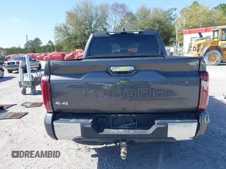 2022 Toyota Tundra 1794 Edition with VIN 5TFMA5DB9NX015571, listed as a IAAI auction lot 41730283 with 76,429 mi miles and . Bid and sale history available at DreamBid. Image 16.