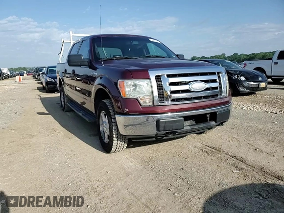 2009 Ford F-150 XL with VIN 1FTRW14889KC37087, listed as a Copart auction lot 58106134 with 225,464 mi miles and Salvage Title. Bid and sale history available at DreamBid. Image 10.