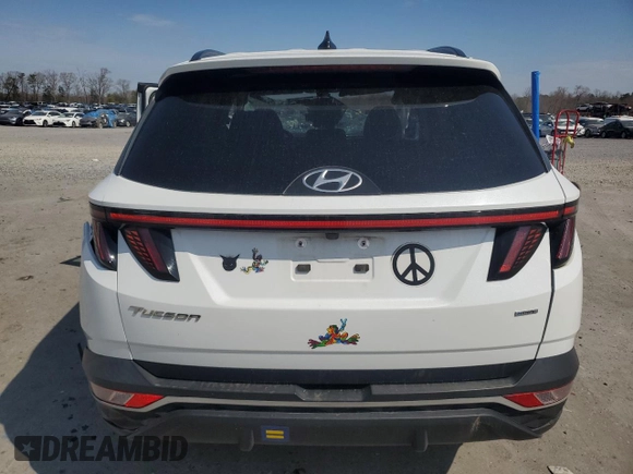 2022 Hyundai Tucson SEL with VIN 5NMJCCAE4NH029922, listed as a Copart auction lot 50301685 with 92,345 mi miles and Salvage Title. Bid and sale history available at carsss.com. Image 6.