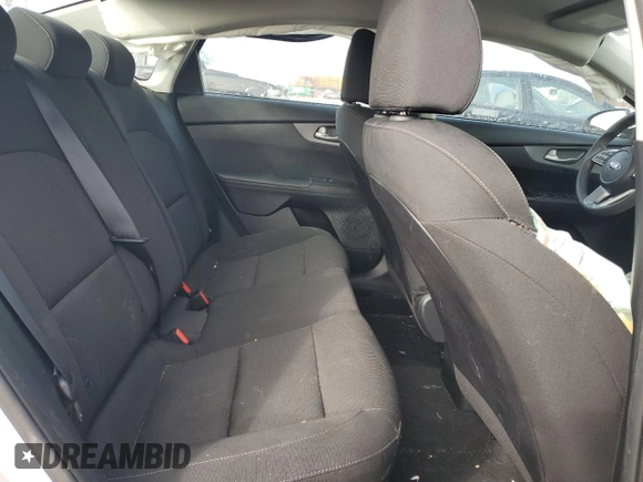 2019 Kia Forte LXS with VIN 3KPF24AD7KE074104, listed as a Copart auction lot 46085405 with 119,693 mi miles and Salvage Title. Bid and sale history available at DreamBid. Image 10.