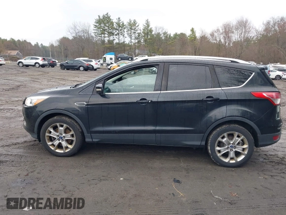 2014 Ford Escape Titanium with VIN 1FMCU9J99EUD38866, listed as a IAAI auction lot 42052579 with 202,337 mi miles. Bid and sale history available at carsss.com. Image 14.