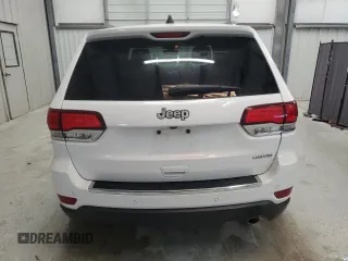 2020 Jeep Grand Cherokee Limited with VIN 1C4RJEBG4LC278706, listed as a Copart auction lot 85802484 with 123,820 mi miles and Clean Title. Bid and sale history available at DreamBid. Image 6.
