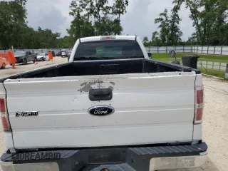 2009 Ford F-150 XL with VIN 1FTRF12W89KB56933, listed as a Copart auction lot 61101415 with 189,462 mi miles and Salvage title. Bid and sale history available at DreamBid. Image 10.