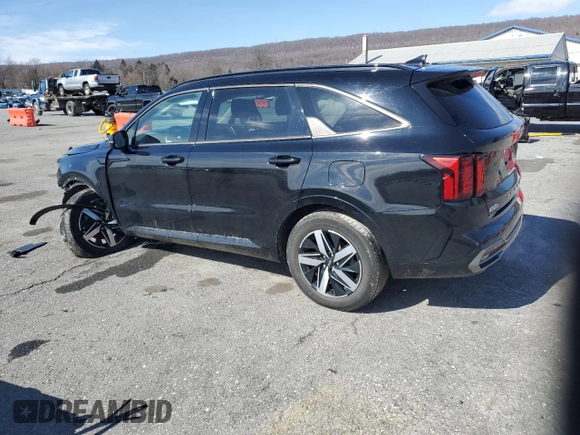 2021 Kia Sorento S with VIN 5XYRL4LCXMG009364, listed as a Copart auction lot 45799705 with 37,641 mi miles and Salvage Title. Bid and sale history available at DreamBid. Image 2.