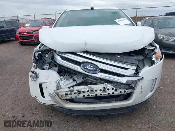 2014 Ford Edge SEL with VIN 2FMDK3JC9EBB29569, listed as a IAAI auction lot 41904845 with 105,975 mi miles. Bid and sale history available at carsss.com. Image 6.