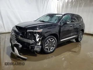 2023 Hyundai Santa Fe Hybrid SEL Premium with VIN 5NMS3DA18PH013247, listed as a Copart auction lot 43936825 with 31,282 mi miles and Clean Title. Bid and sale history available at carsss.com. Image 1.