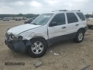2006 Ford Escape XLT with VIN 1FMYU93116KA71488, listed as a Copart auction lot 57489755 with 197,006 mi miles and Salvage title. Bid and sale history available at DreamBid. Image 1.