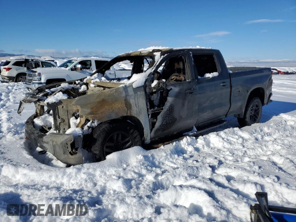 2021 Chevrolet Silverado 1500 Custom Trail Boss with VIN 1GCPYCEF3MZ249092, listed as a Copart auction lot 87238014 with Not Provided miles and Salvage Title. Bid and sale history available at DreamBid. Image 1.