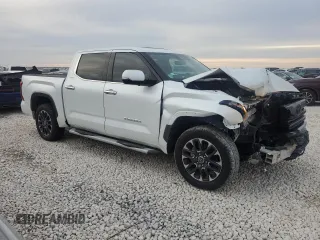 2022 Toyota Tundra Limited with VIN 5TFJA5ABXNX009687, listed as a Copart auction lot 83356634 with 19,110 mi miles and Salvage title. Bid and sale history available at DreamBid. Image 4.
