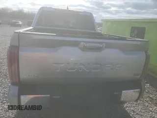 2024 Toyota Tundra 1794 Edition with VIN 5TFMA5DBXRX167302, listed as a Copart auction lot 49960245 with 13,158 mi miles and Salvage title. Bid and sale history available at DreamBid. Image 6.