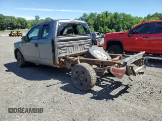 2010 Ford F-150 XL with VIN 1FTEX1EW2AFC03541, listed as a Copart auction lot 65168785 with 131,158 mi miles and Clean title. Bid and sale history available at DreamBid. Image 2.