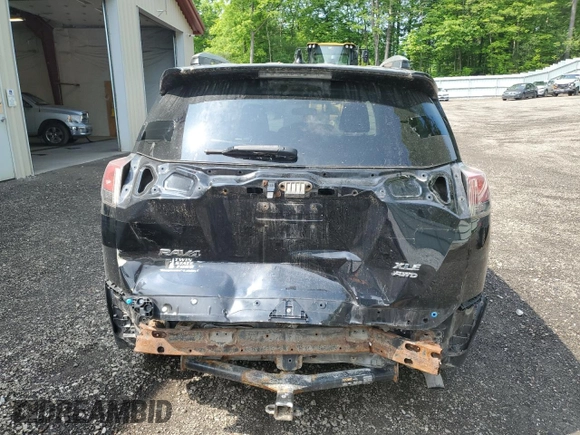 2016 Toyota RAV4 XLE with VIN 2T3RFREV6GW488911, listed as a Copart auction lot 60407195 with 110,517 mi miles and Salvage title. Bid and sale history available at DreamBid. Image 6.