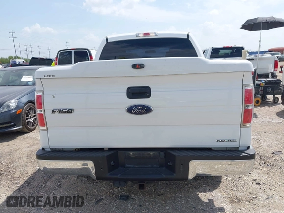 2014 Ford F-150 XL with VIN 1FTEW1CMXEKD40762, listed as a IAAI auction lot 42400704 with 75,769 mi miles and . Bid and sale history available at DreamBid. Image 16.