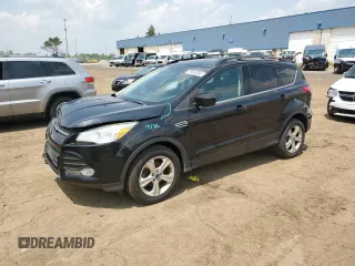 2013 Ford Escape SE with VIN 1FMCU0GX9DUC32773, listed as a Copart auction lot 59843095 with 138,315 mi miles and Clean title. Bid and sale history available at DreamBid. Image 1.