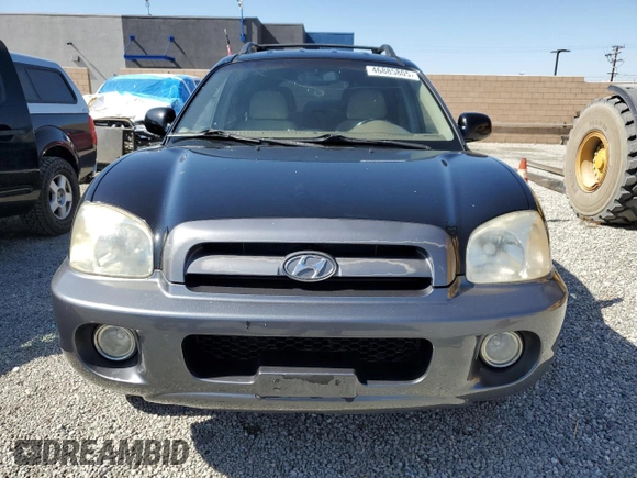 2006 Hyundai Santa Fe GLS with VIN KM8SC73D86U110864, listed as a Copart auction lot 46885805 with 184,782 mi miles and Clean Title. Bid and sale history available at carsss.com. Image 5.