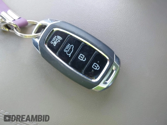 2019 Hyundai Santa Fe Ultimate with VIN 5NMS5CAA6KH075047, listed as a IAAI auction lot 41802407 with 119,063 mi miles and . Bid and sale history available at DreamBid. Image 11.