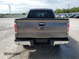 2013 Ford F-150 XL with VIN 1FTFW1EF3DFD32612, listed as a Copart auction lot 53959375 with 226,716 mi miles and Non repairable. Bid and sale history available at DreamBid. Image 6.