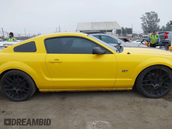 2006 Ford Mustang GT Deluxe with VIN 1ZVFT82H165206827, listed as a IAAI auction lot 42031340 with 256,919 mi miles. Bid and sale history available at carsss.com. Image 14.