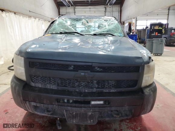 2011 Chevrolet Silverado 1500 Work Truck with VIN 1GCNKPEX2BZ418962, listed as a Copart auction lot 42313445 with 0 mi miles and Salvage Title. Bid and sale history available at carsss.com. Image 5.