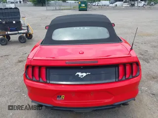 2019 Ford Mustang EcoBoost with VIN 1FATP8UH6K5181768, listed as a IAAI auction lot 42450445 with 77,159 mi miles and . Bid and sale history available at DreamBid. Image 15.