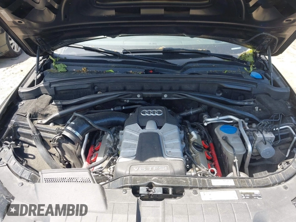 2015 Audi SQ5 Premium Plus with VIN WA1CGAFP3FA097534, listed as a IAAI auction lot 42348609 with 127,143 mi miles and . Bid and sale history available at DreamBid. Image 10.