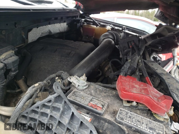 2013 Ford F-150 with VIN 2ATE01102DKD97632, listed as a Copart auction lot 49815235 with Not provided miles and Salvage title. Bid and sale history available at DreamBid. Image 11.