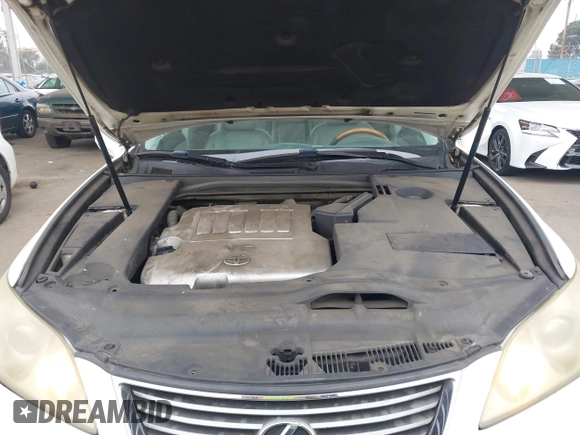 2007 Lexus ES 330 with VIN JTHBJ46G172051201, listed as a IAAI auction lot 42168072 with 245,451 mi miles and . Bid and sale history available at DreamBid. Image 10.