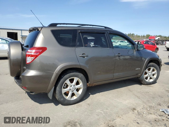 2009 Toyota RAV4 Ltd with VIN JTMBK31V995074564, listed as a Copart auction lot 53667785 with 0 mi miles and Clean Title. Bid and sale history available at carsss.com. Image 3.