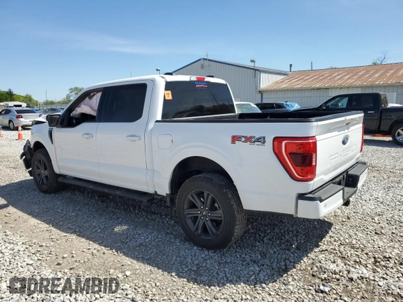 2023 Ford F-150 XL with VIN 1FTFW1E82PKE82241, listed as a Copart auction lot 54902835 with Not Provided miles and Salvage Title. Bid and sale history available at carsss.com. Image 2.