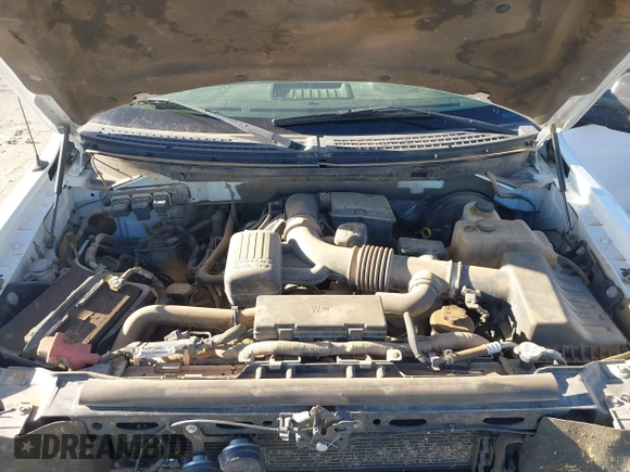 2009 Ford F-150 XL with VIN 1FTPW12V69FB28569, listed as a IAAI auction lot 41858385 with 200,697 mi miles and . Bid and sale history available at DreamBid. Image 10.