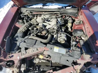 2004 Ford Mustang Standard with VIN 1FAFP40434F117726, listed as a Copart auction lot 41556265 with 136,420 mi miles and Non Repairable. Bid and sale history available at carsss.com. Image 11.