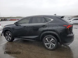 2019 Lexus NX with VIN JTJBARBZ9K2189502, listed as a Copart auction lot 50029065 with 135,449 mi miles and Salvage Title. Bid and sale history available at carsss.com. Image 2.
