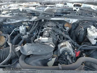 2003 Chevrolet Silverado 1500 LS with VIN 2GCEK19T331206067, listed as a IAAI auction lot 41629974 with 1 mi miles. Bid and sale history available at carsss.com. Image 10.