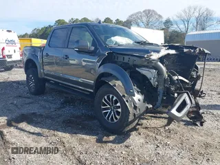 2019 Ford F-150 Raptor with VIN 1FTFW1RG0KFC16008, listed as a IAAI auction lot 41749067 with 74,452 mi miles. Bid and sale history available at carsss.com. Image 1.