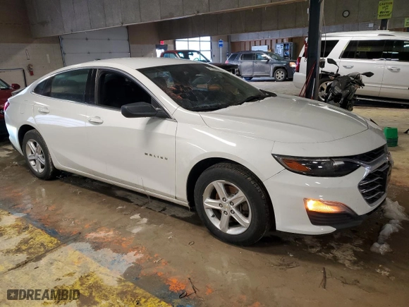 2019 Chevrolet Malibu LS with VIN 1G1ZB5ST3KF224670, listed as a Copart auction lot 45959765 with 67,442 mi miles and Salvage Title. Bid and sale history available at carsss.com. Image 4.