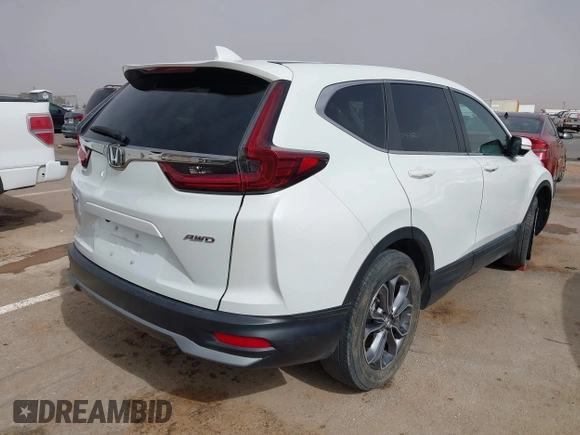 2022 Honda CR-V EX with VIN 7FARW2H50NE052730, listed as a IAAI auction lot 40717699 with 19,514 mi miles and . Bid and sale history available at DreamBid. Image 4.