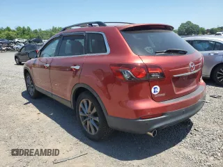 2014 Mazda CX-9 Grand Touring with VIN JM3TB3DVXE0433886, listed as a Copart auction lot 62325285 with 114,343 mi miles and Clean title. Bid and sale history available at DreamBid. Image 2.